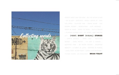 Collecting Words: Short Visual Stories