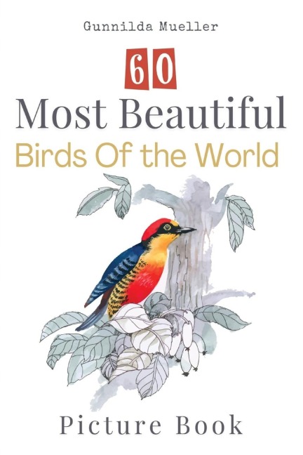60 Most Beautiful Birds of the World Picture Book: 60 Bird Pictures for Seniors with Alzheimers and Dementia Patients. Premium Pictures on 70lb Paper (62 Pages).