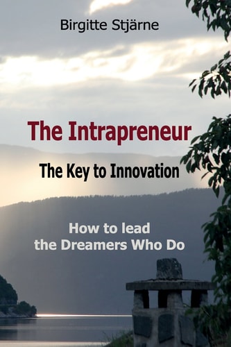 The Intrapreneur - The Key to Innovation How to Lead the Dreamers Who Do