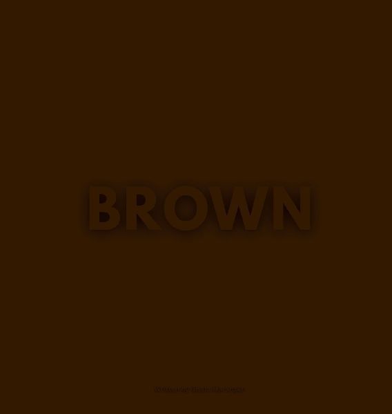 THE BROWN BOOK