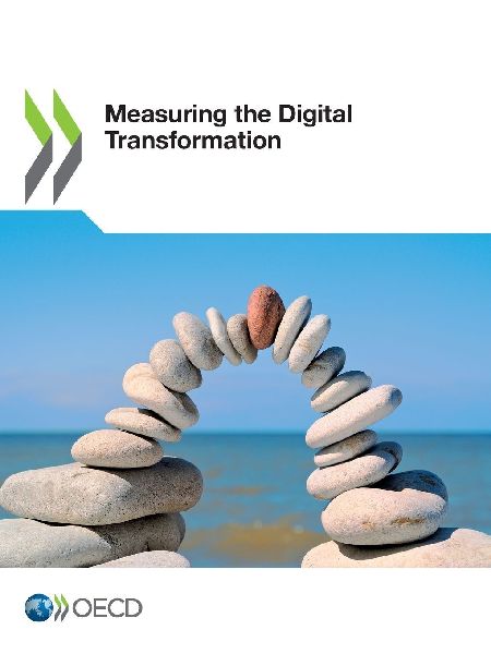 Measuring the Digital Transformation