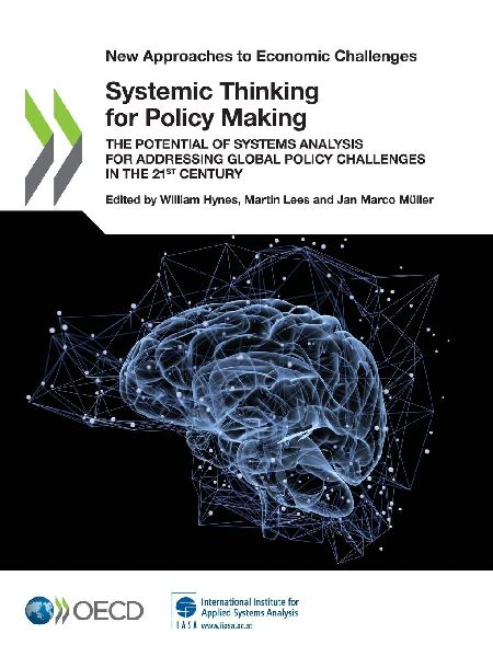 Systemic Thinking for Policy Making