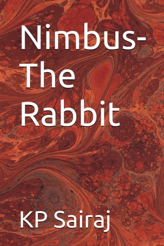 Nimbus-The Rabbit