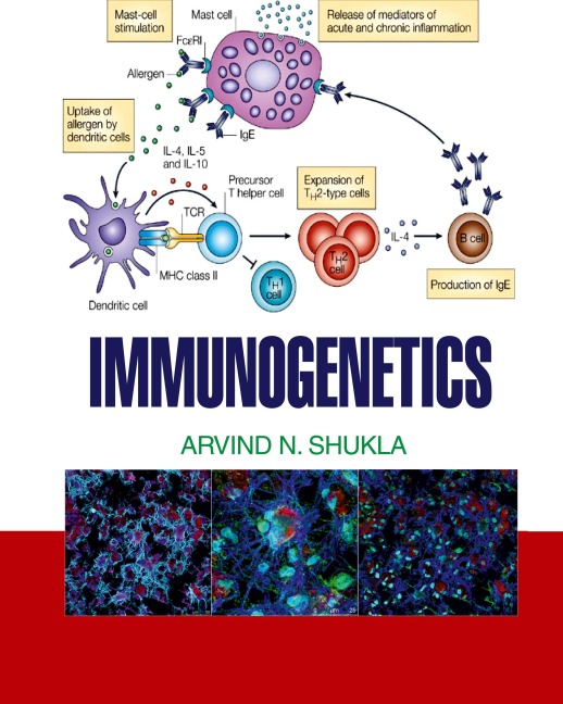 IMMUNOGENETICS