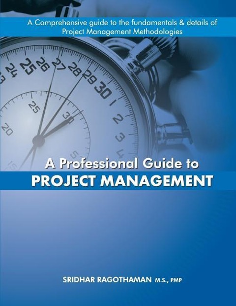 A Professional Guide to Project Management