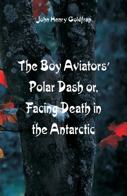 The Boy Aviators Polar Dash: Facing Death in the Antarctic