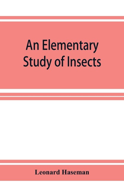 An Elementary Study of Insects