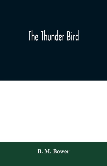 The Thunder Bird