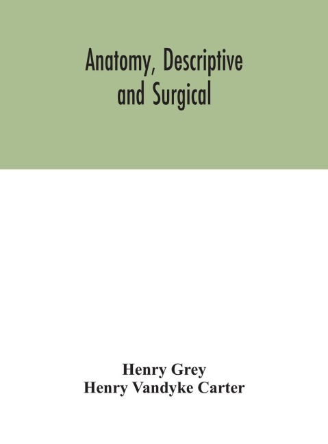 Anatomy, Descriptive And Surgical