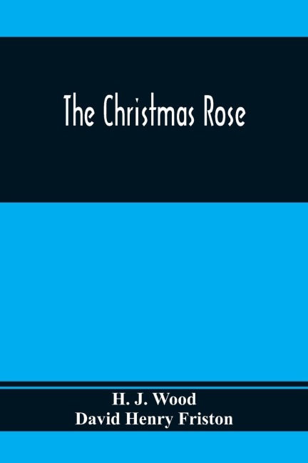 The Christmas Rose