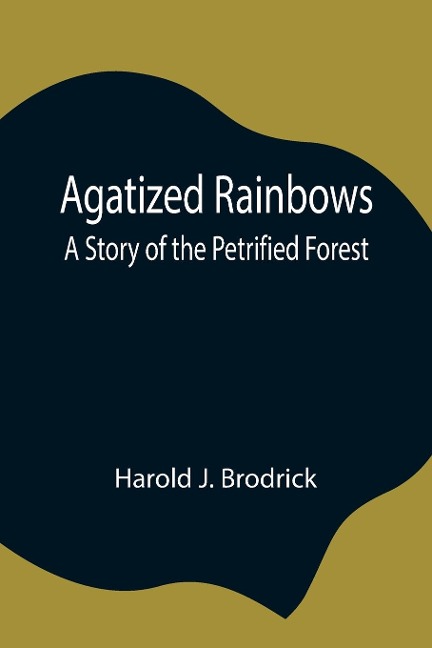 Agatized Rainbows: A Story Of The Petrified Forest