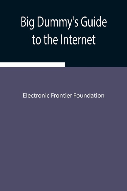 Big DummyS Guide To The Internet