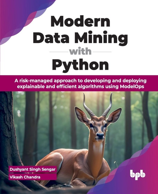 Modern Data Mining with Python: A risk-managed approach to developing and deploying explainable and efficient algorithms using ModelOps (English Edition)
