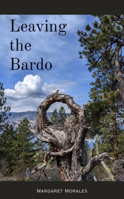 Leaving the Bardo