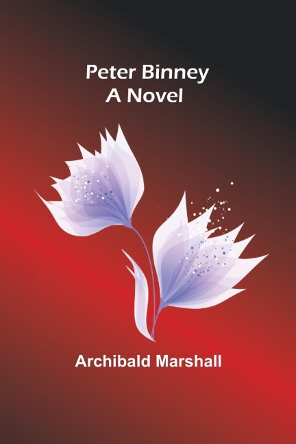 Peter Binney: A Novel