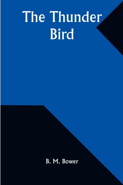 The Thunder Bird