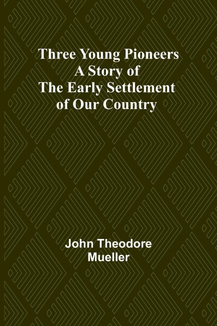 Three Young Pioneers A Story of the Early Settlement of Our Country