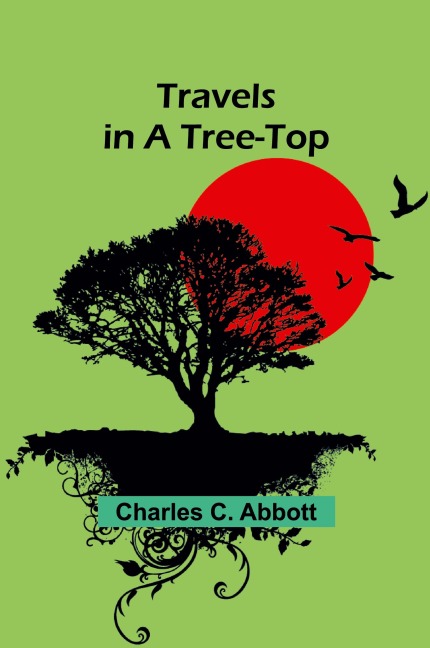 Travels in a Tree-top