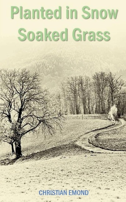 PLANTED IN SNOW SOAKED GRASS
