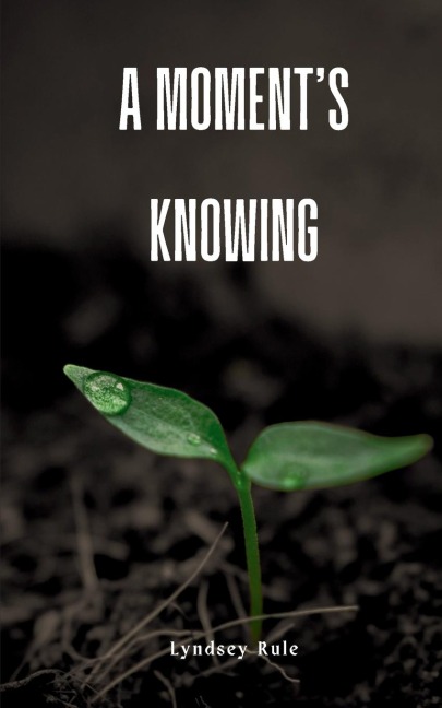 A moments knowing