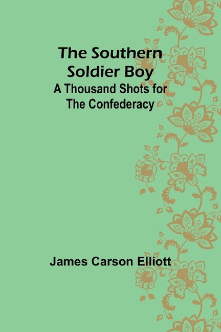 The Southern Soldier Boy: A Thousand Shots for the Confederacy