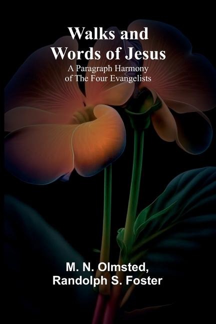 Walks and Words of Jesus: A Paragraph Harmony of the Four Evangelists