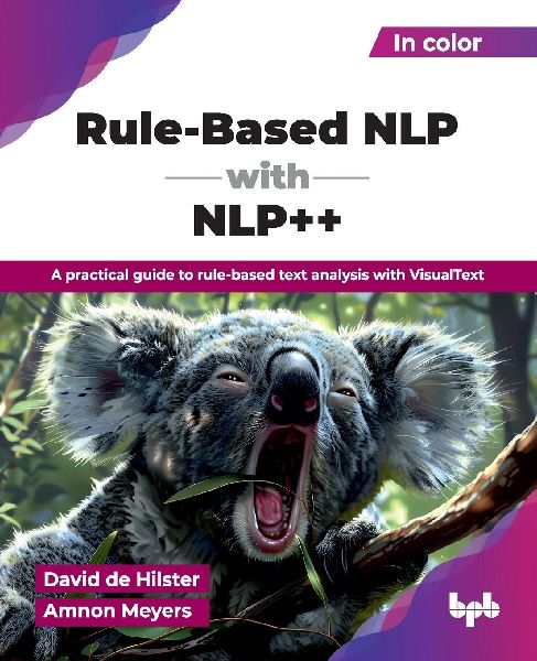 Rule-Based NLP with NLP++: A practical guide to rule-based text analysis with VisualText (English Edition)