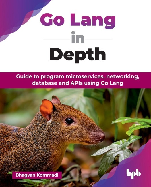 Go Lang in Depth: Guide to program microservices, networking, database and APIs using Go Lang (English Edition)