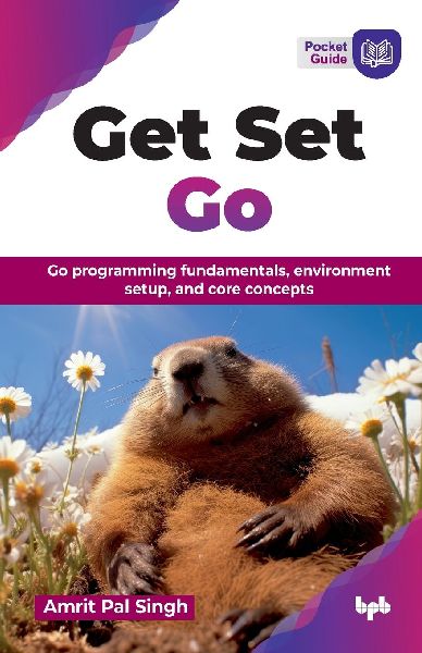 Get Set Go: Go programming fundamentals, environment setup, and core concepts (English Edition)