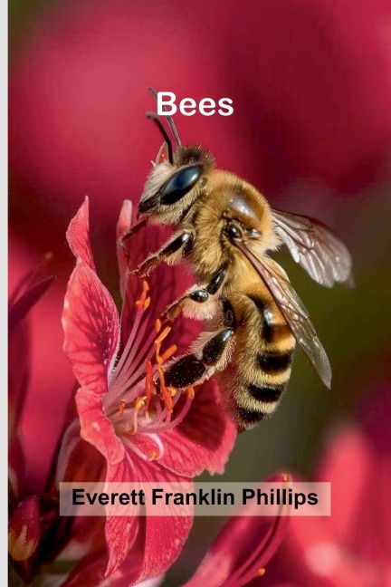Bees