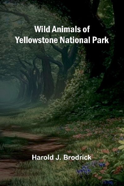 Wild Animals of Yellowstone National Park
