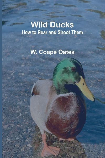 Wild Ducks: How to Rear and Shoot Them
