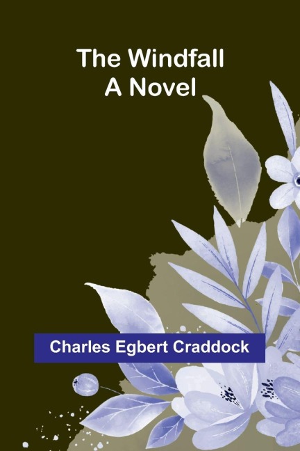 The windfall: A novel