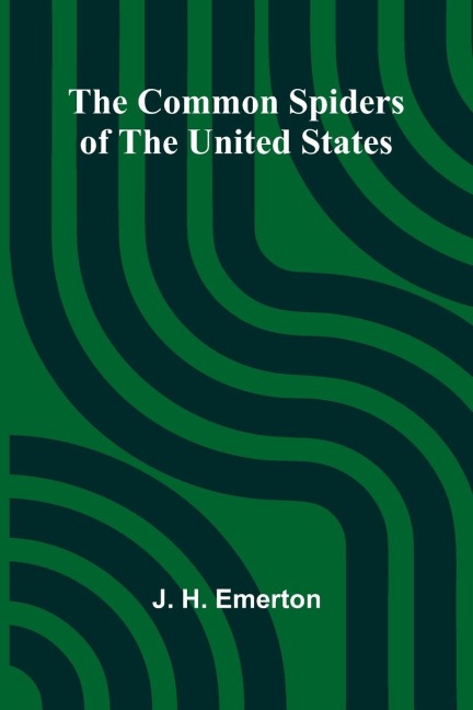 The Common Spiders Of The United States