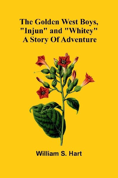The Golden West Boys, Injun And Whitey: A Story Of Adventure
