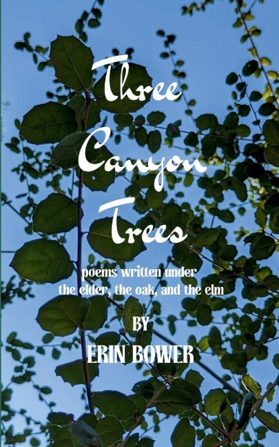 three canyon trees