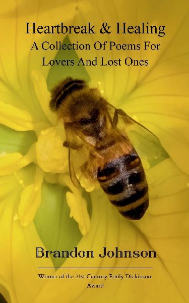 Heartbreak & Healing: A collection of poems for lovers and lost ones  A hearth for the broken-hearted, hopeless romantics, where love bleeds from the ink