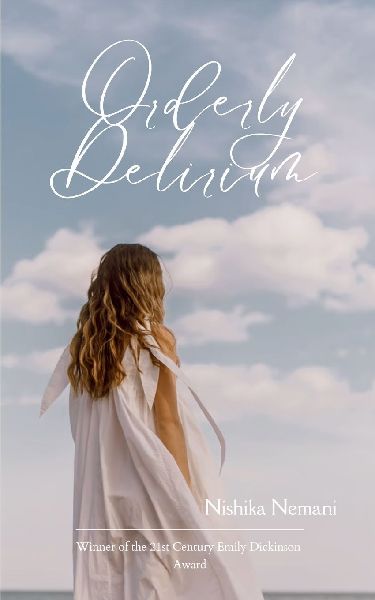 Orderly Delirium A Guide to Undoing the Nonsense