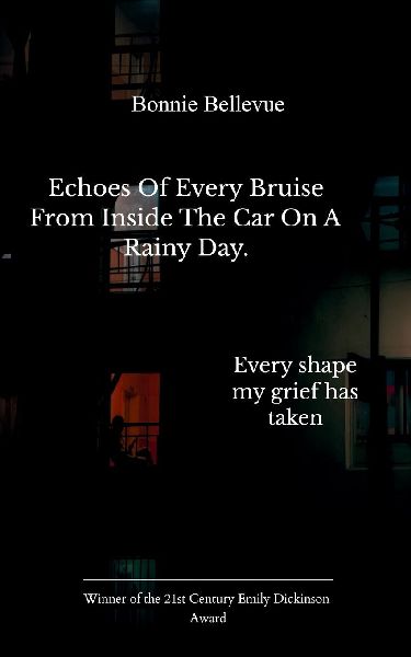 Echoes of every bruise from inside the car on a rainy day. Every shape my grief has taken