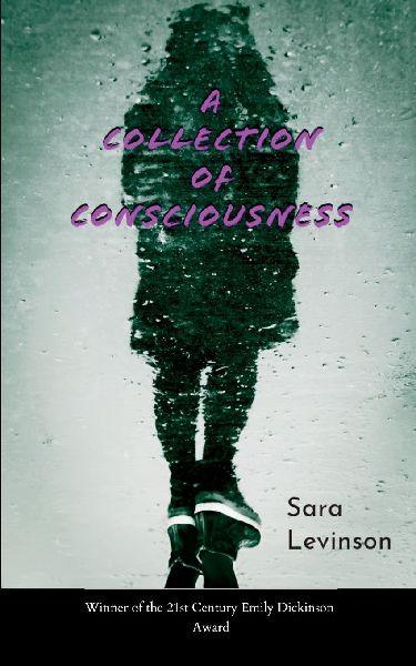 A Collection of Consciousness