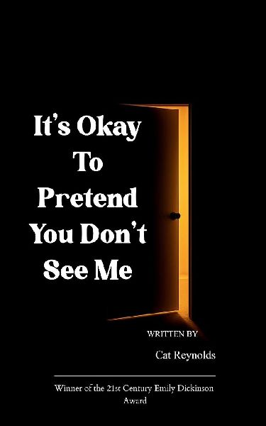Its Okay to Pretend You Dont See Me