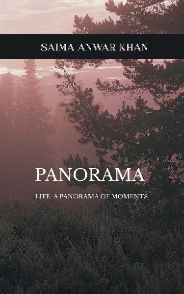 Panorama Life: A Panorama of Moments