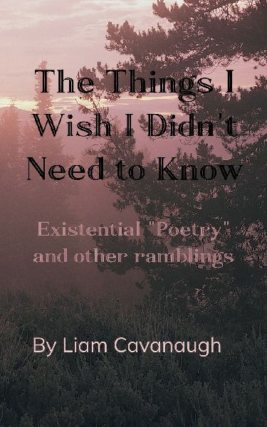 The Things I Wish I Didnt Need to Know Existential Poetry and Other Ramblings