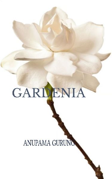 Gardenia