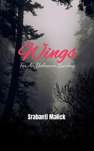 Wings For An Unknown Landing
