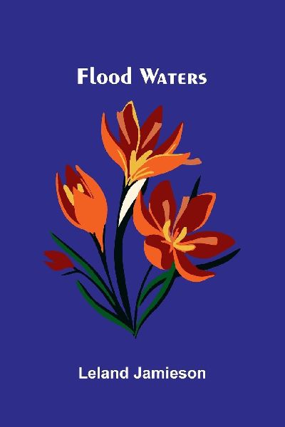 Flood waters