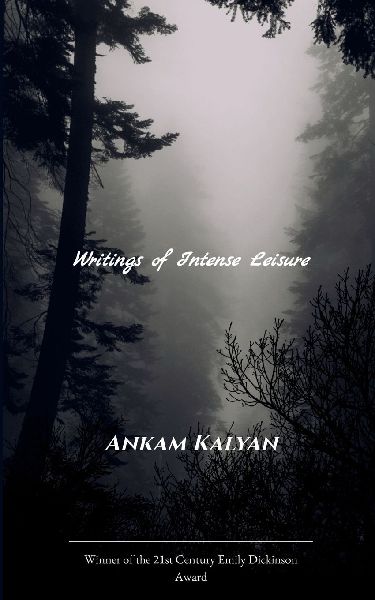 Writings of Intense Leisure