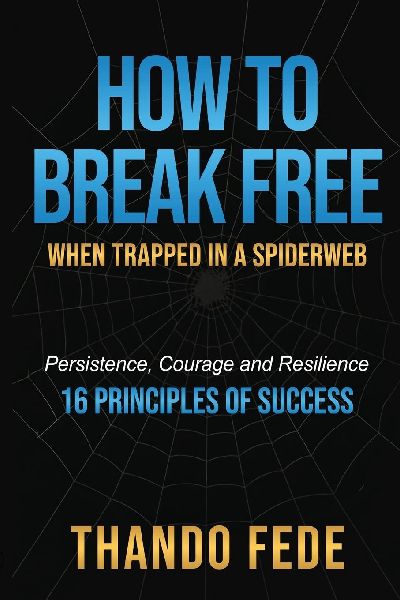 How to Break Free When Trapped in a Spiderweb - Persistence, Courage and Resilience - 16 Principles of Success