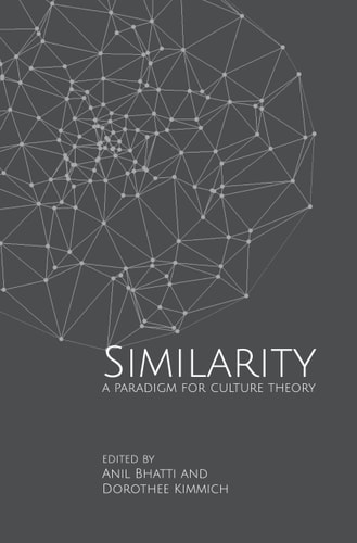 Similarity A Paradigm for Culture Theory