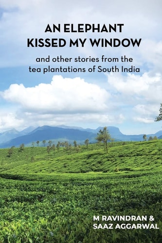 An Elephant Kissed My Window And Other Stories from the Tea Plantations of South India